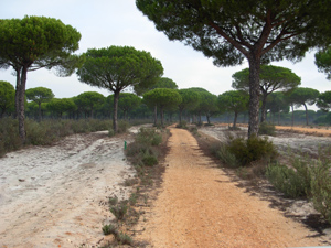 Vistas de la ruta